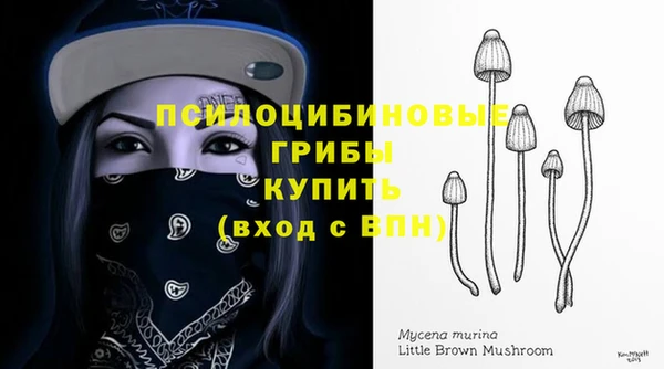 бошки Аркадак