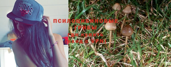 МДПВ Алексин