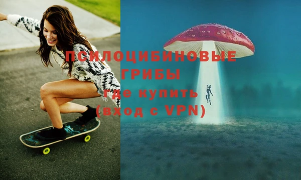 бошки Аркадак