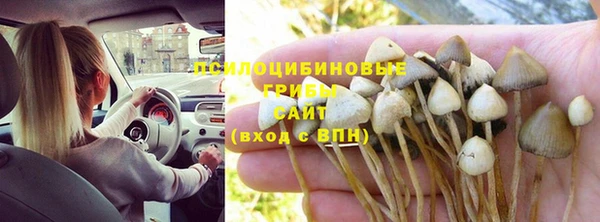 МДПВ Алексин