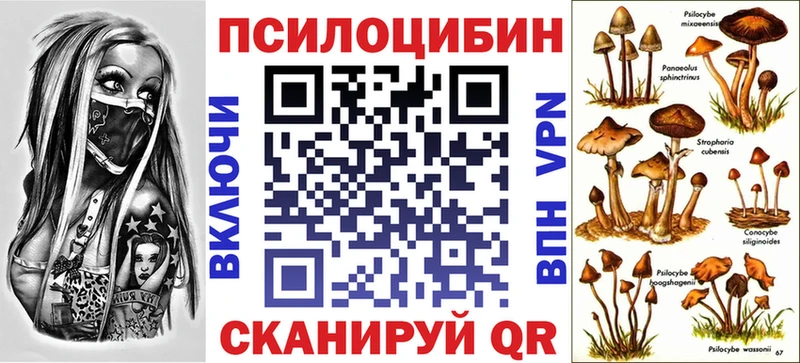 Галлюциногенные грибы GOLDEN TEACHER Купить где Лениногорск